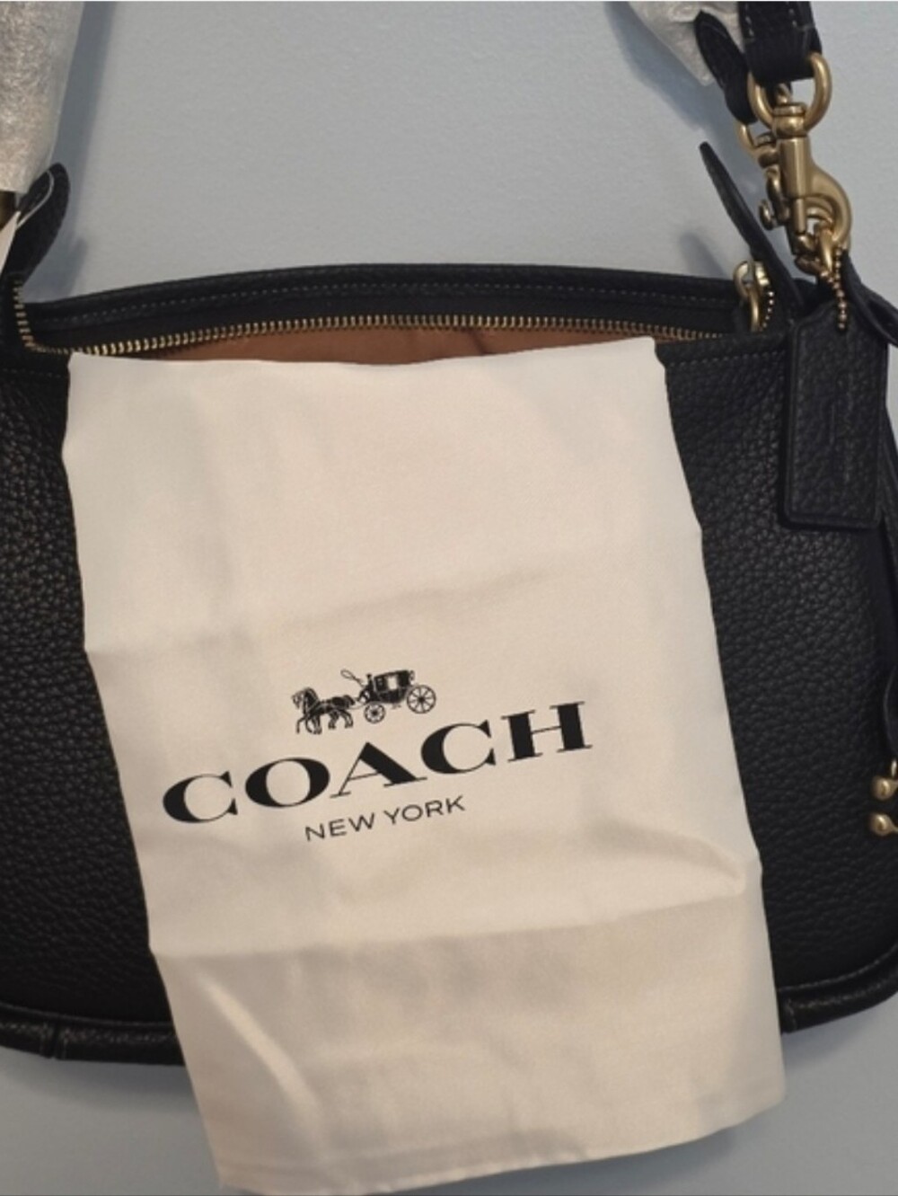 Coach Cary Soft Pebble Leather Crossbody Bag Nwt